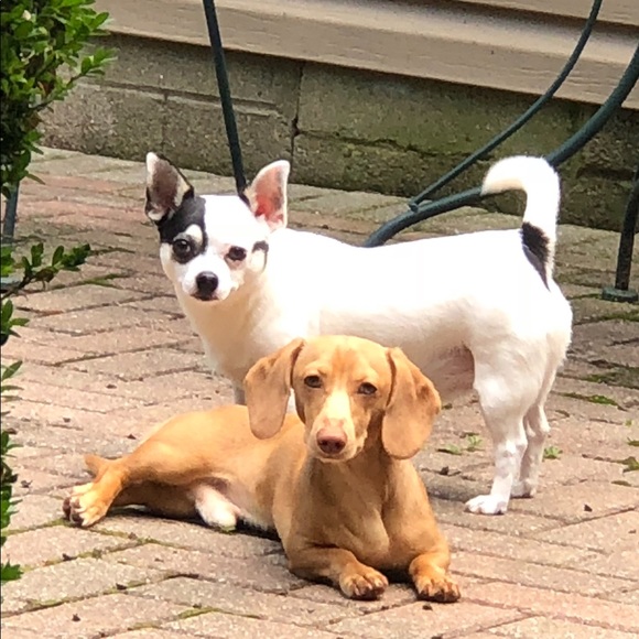 Meet your Posher, Stacy - Picture 1 of 1